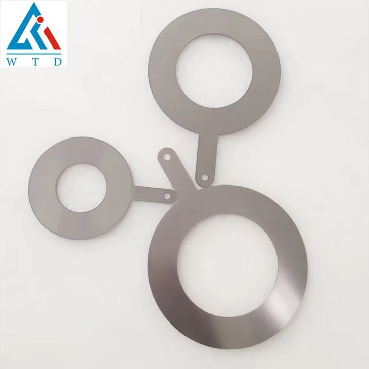 Hastelloy C276 Grounding Ring